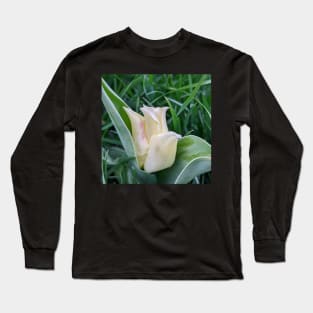 Tulip with bit of pink Long Sleeve T-Shirt